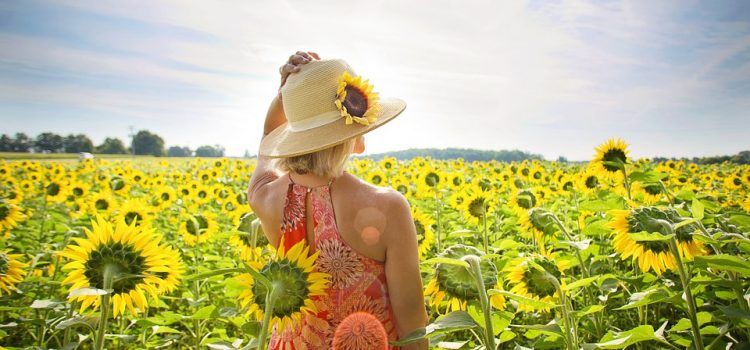 Pourquoi la Provence est aussi populaire l’été ?