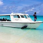 Mandelieu-la-Napoule : entre terre et mer, une aventure de pêche au gros